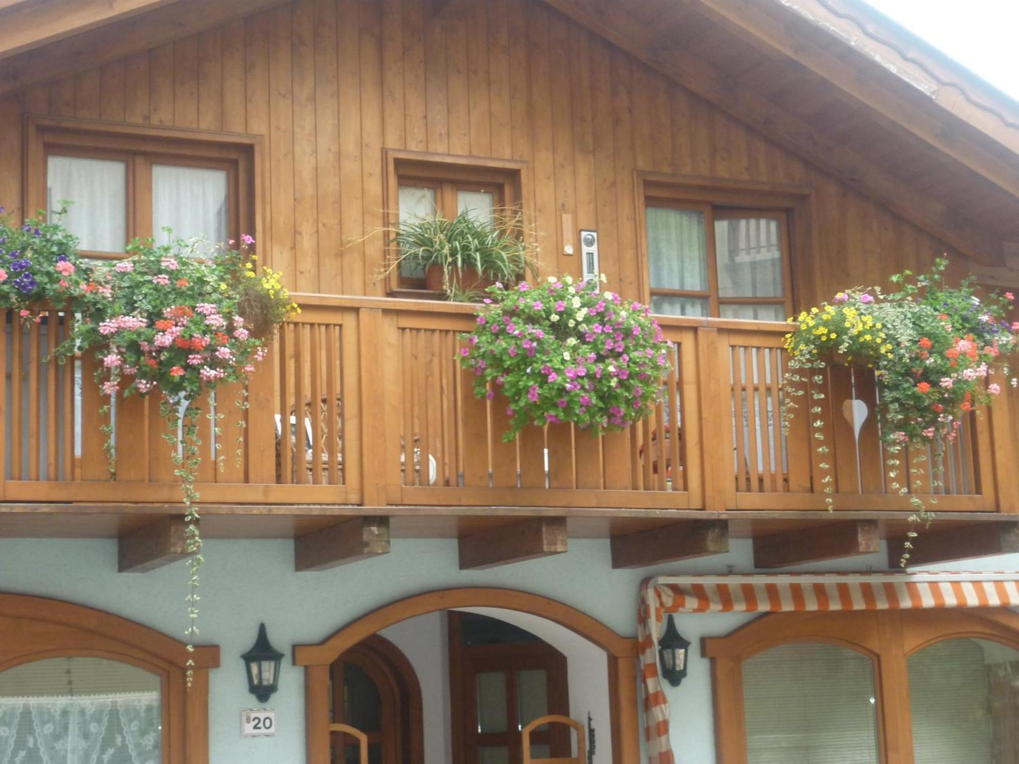 Appartamenti -Casa Nicolussi- Molveno Eksteriør billede